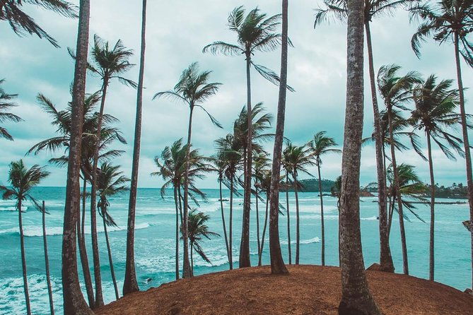03 Days Beach Holidays in Sri Lanka with Kingfisher - The Sum Up: Is This Tour for You?