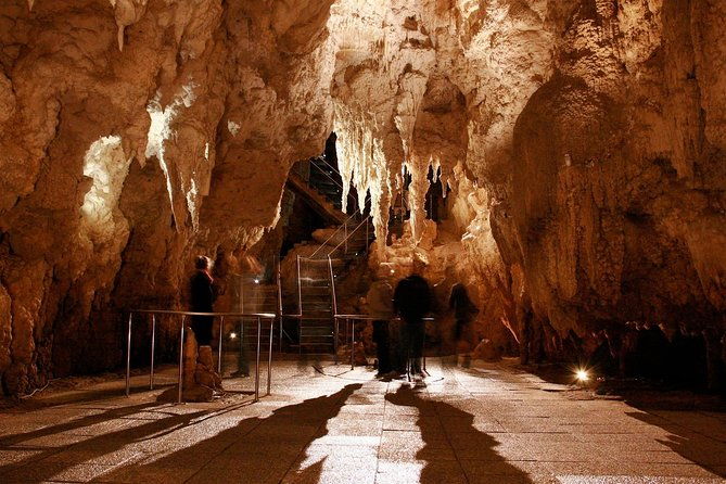 1-Hour Guided Tour of Aranui Cave Waitomo - Frequently Asked Questions