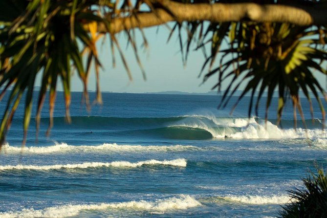 10-Day Surf Adventure from Sydney to Brisbane Including Coffs Harbour, Byron Bay and Gold Coast - Who Should Consider This Tour?