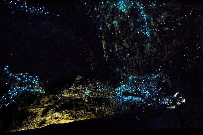12-Hour LOTR Trollshaws & Waitomo Glowworm Tour - FAQs