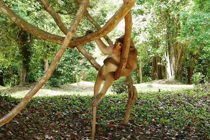 2-Day Angkor Wat Tour from Bangkok - Final Thoughts