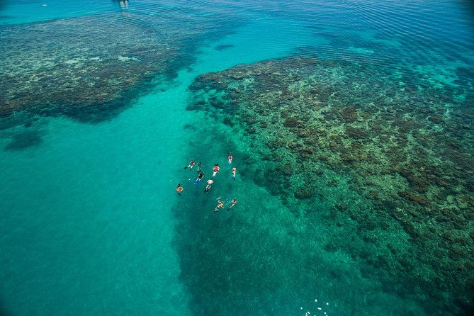 2-Day Great Barrier Reef Combo: Green Island Sailing and Outer Reef Snorkel Cruise - Who This Tour Is Best For