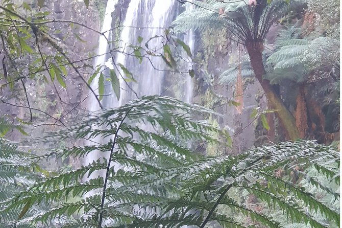 2 Day Great Ocean Road Tour and Platypus paddle - Final Thoughts