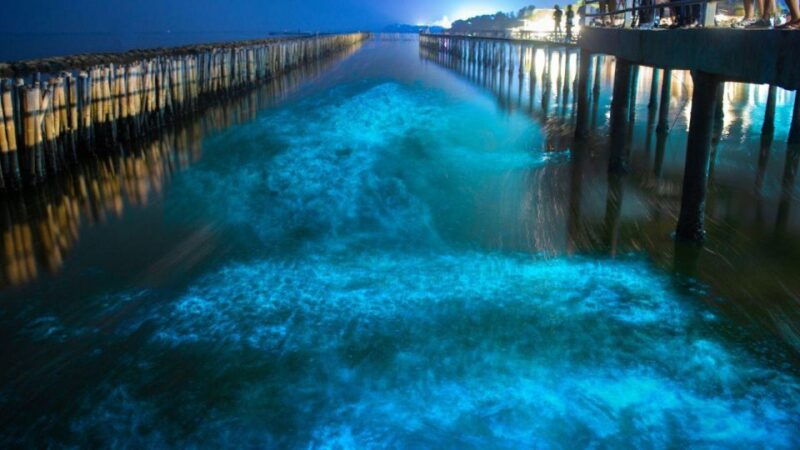 2-day-ha-long-bay-cruise-with-activities