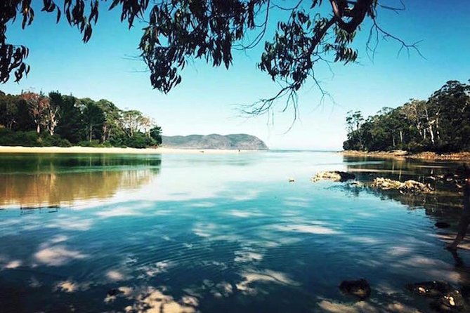 2 Day Tasmanian Highlights Tour-Hobart Highlights & Bruny Island - Final Thoughts