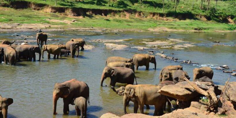 2-day-tour-pinnawala-sigiriya-from-kandy