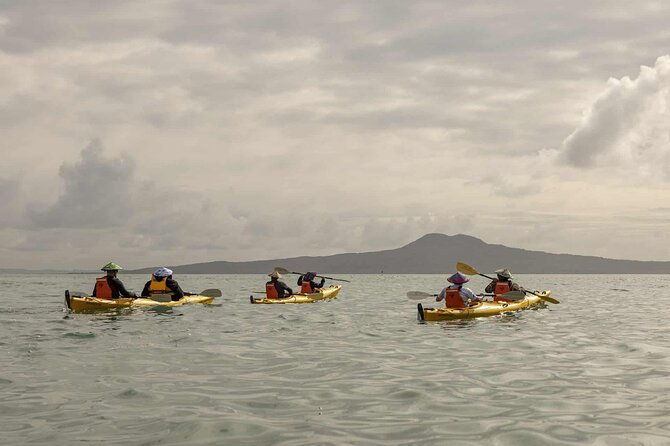 2-Day Waiheke Island Sea Kayak Tour - Frequently Asked Questions
