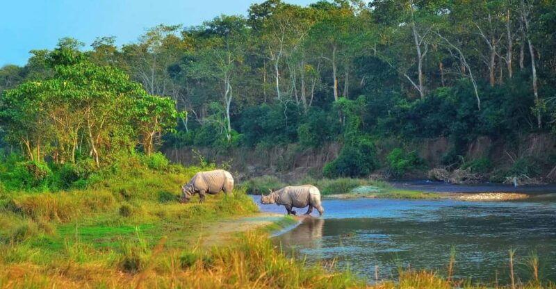 2-days-chitwan-jungle-safari-tour-from-pokhara-kathmandu