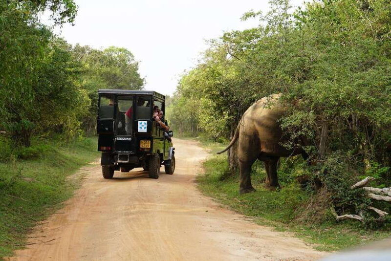 2-days-sri-lanka-all-inclusive-tour-to-ella-and-yala-with-4-star-hotel