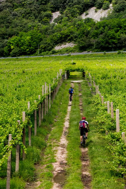 2-days-winery-tour-3-wine-tastings-local-hotel-3-meals
