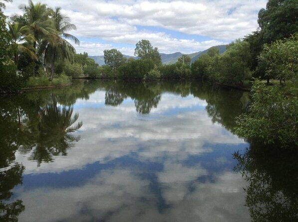 2-Hour Mushroom Photography Activity in Cairns Botanic Gardens - What the Experience Looks Like  