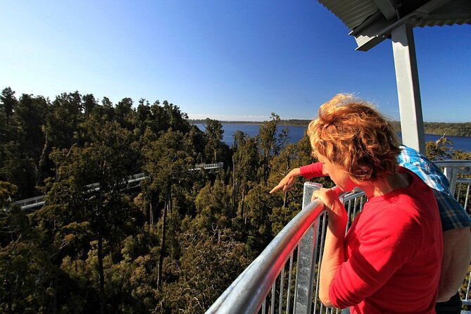 2-Hour Tower Zipline and Walkway Combo Private Guided Activity - Who Should Consider This Tour?