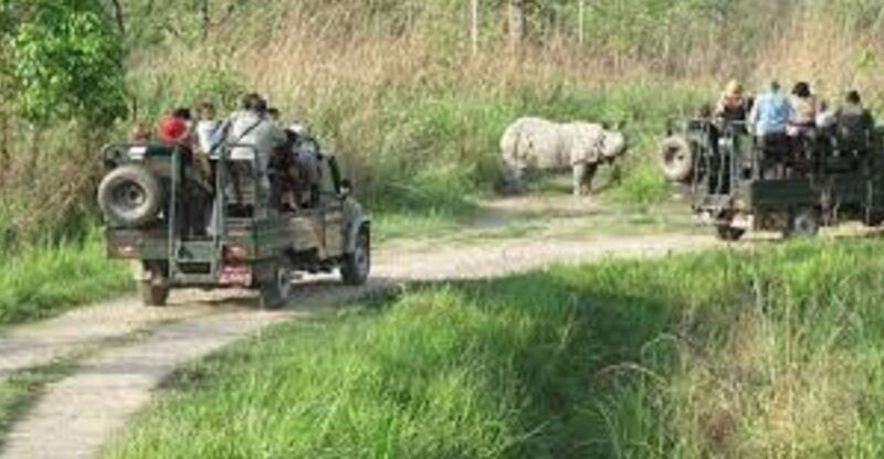 2-n-3-days-chitwan-tour-package-from-pokhara-or-kathmandu