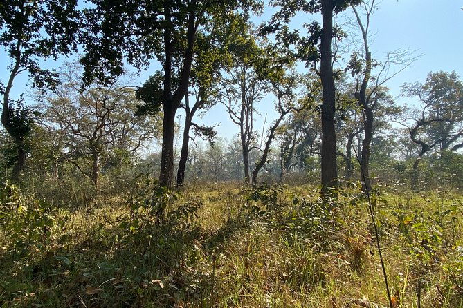 2 Nights 3 Days Chitwan Jungle Safari Tour - Practical Details and What They Mean for You
