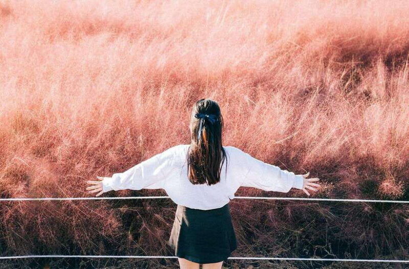 2025-jeju-autumn-tour-with-pink-muhly-festival