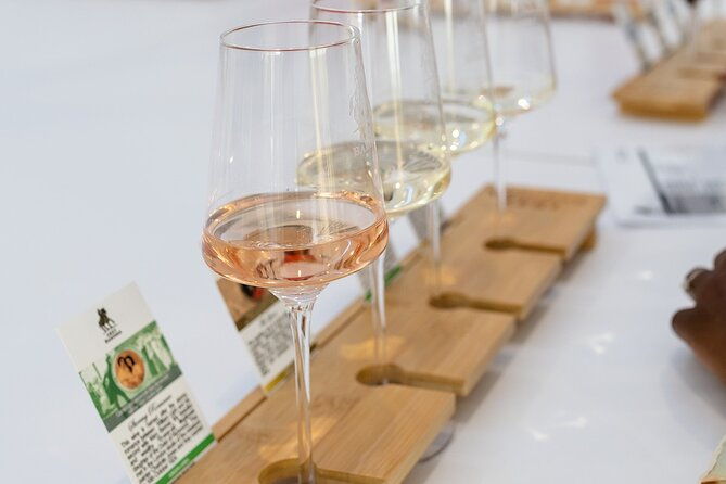 2h Wine Experience, Vineyard walk, 6 wines, charcuterie board - Authentic Reviews and Insights