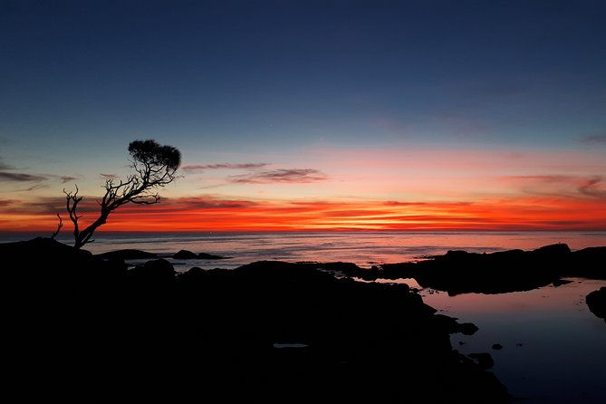 3 day Bay of Fires Photography Workshop from Hobart - Who Would Love This Tour?