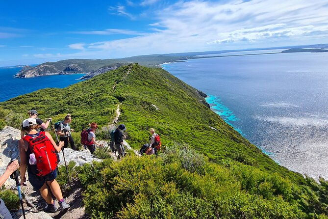 3-Day Coastal Natural Wonders and Hiking Tour in Albany - What the Reviews Say