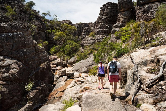 3-Day Melbourne to Adelaide Small-Group Tour via Great Ocean Road Grampians - Final Thoughts: Who Is This Tour Best For?