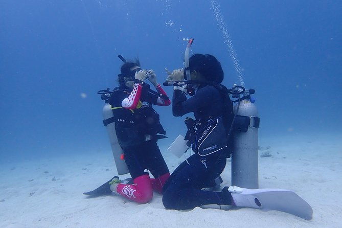 3-Day PADI Open Water Diver Course, Koh Samui - Value for Money and Overall Quality