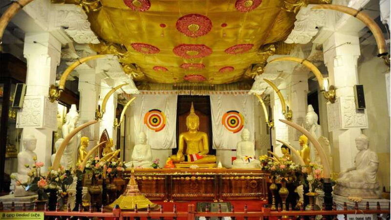 3-day-tour-from-your-hotel-explore-kandy-ella-and-yala