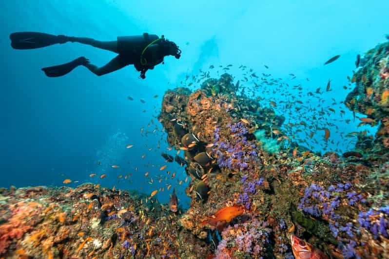 3-fun-dives-for-certified-king-cruiser-wreck-and-koh-dok-mai