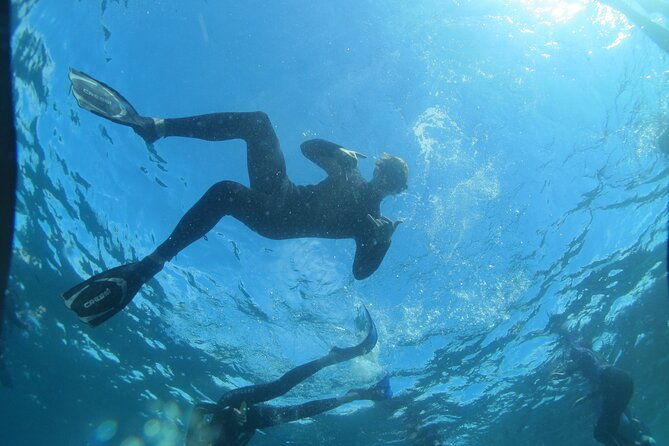 3-Hour Kayak and Snorkeling Experience in Batemans Bay - Pricing and Value