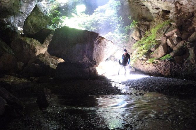 3-Hour Private Photography Tour in Waitomo Caves - Who Should Consider This Tour?