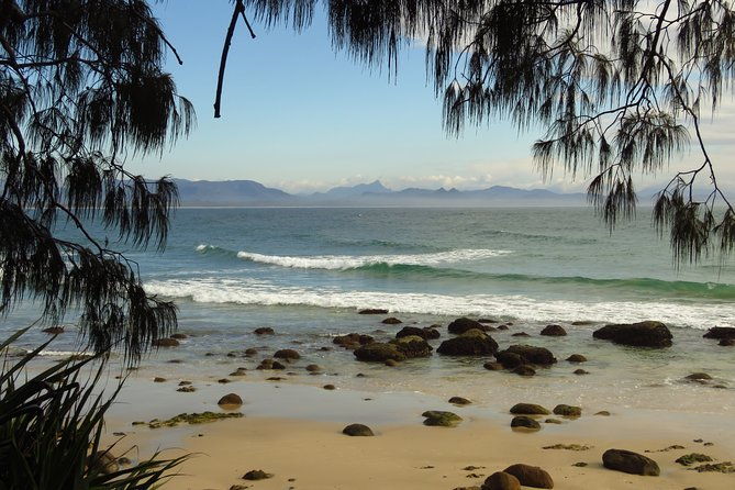 3-Hour Small-Group Byron Bay Tour - Authentic Experiences—What Travelers Are Saying