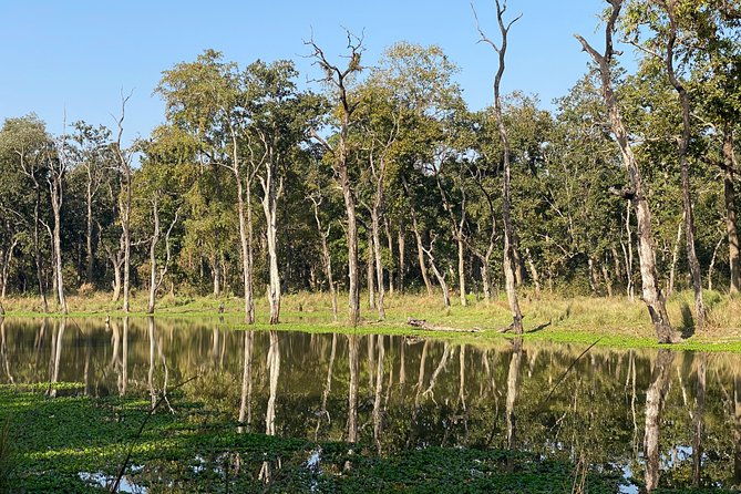 3 Nights 4 Days Comfortable Chitwan Safari Tour - Authentic Experiences Through Reviewer Insights