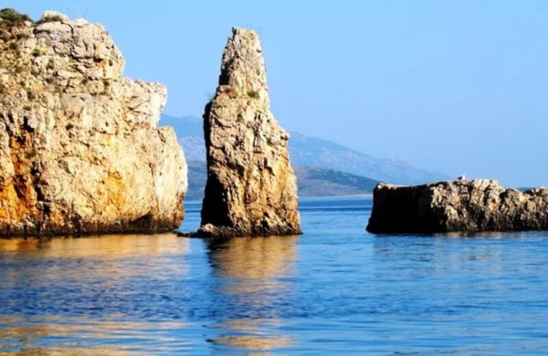 35h-wild-bays-swim-snorkel-with-capt-bobo-public