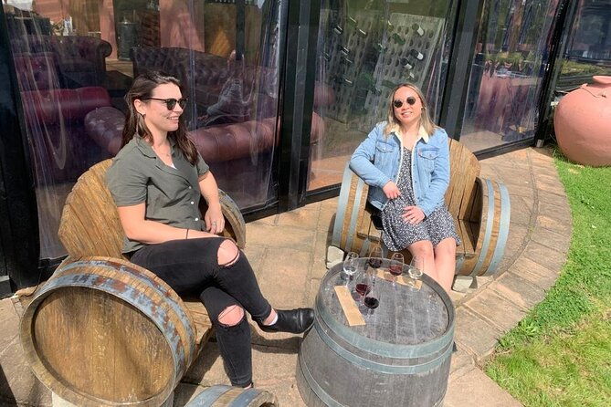 4.5-Hour Scenic Wine Tour with Private Guide & Up to 12 Tastings - Who Is This Tour Perfect For?