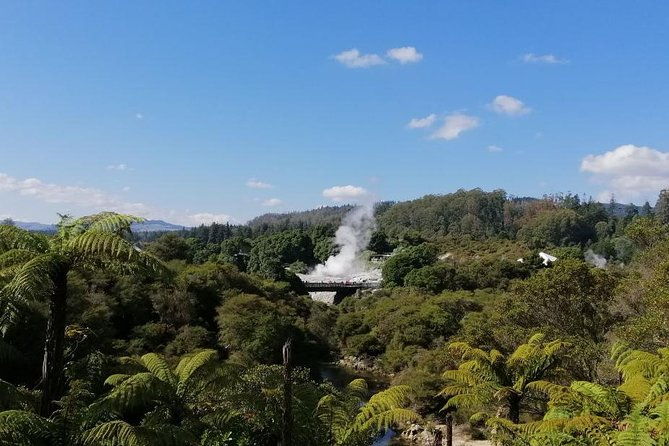 4-Day Auckland to Wellington via Rotorua Tour - Transportation, Accommodation, and Value