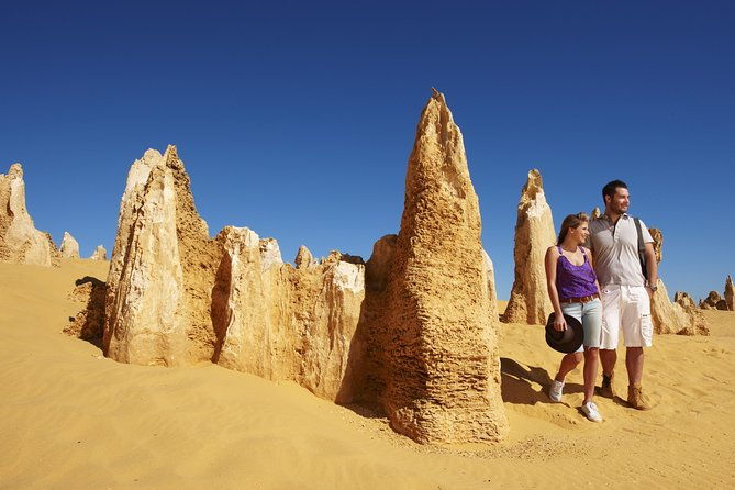 4-Day Coastal Loop via Monkey Mia Dolphins Kalbarri & Pinnacles - Wrapping Up