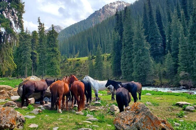 4 Days Issyk Kul & Chon Kemin with Nomadic Stay, Horse riding - FAQs