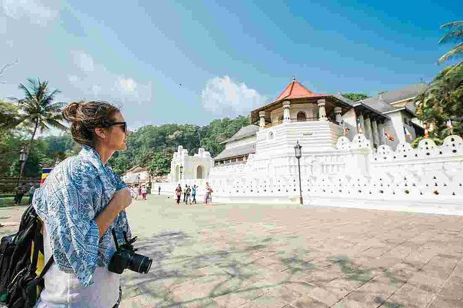 4 Days Tour To Kandy, Nuwara Eliya, Dambulla & Anuradhapura From Colombo - Who Is This Tour For?