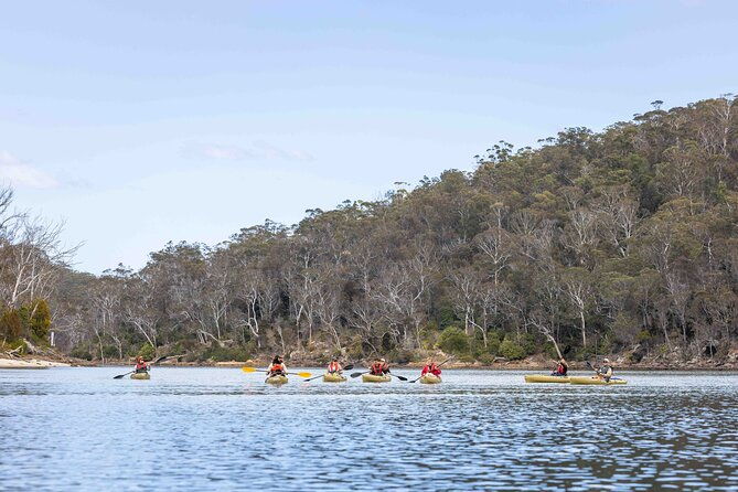 4 Hour Aboriginal Culture Tour Kayaking Pambula River - The Price and Value