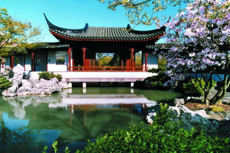 4-hour-private-tour-of-vancouvers-gardens