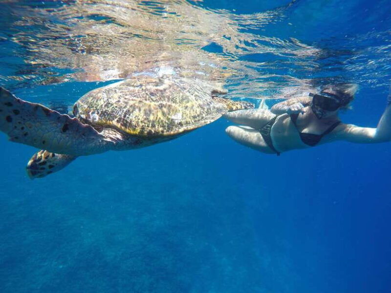 5-secret-gili-boat-trip-snorkeling-in-southwest-of-lombok