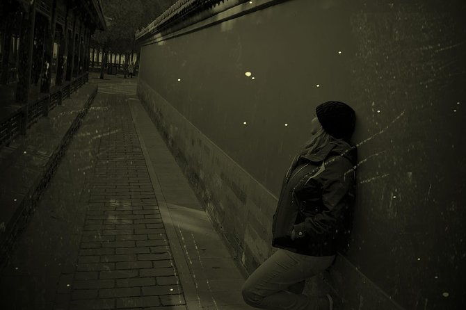 6-7 Hours Beijing Summer Palace and Forbidden City Layover Tour - Logistics and Practical Considerations