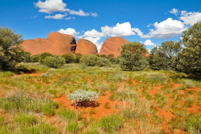 7-Day Guided Tour of Alice Springs with Accommodation Included - The Sum Up