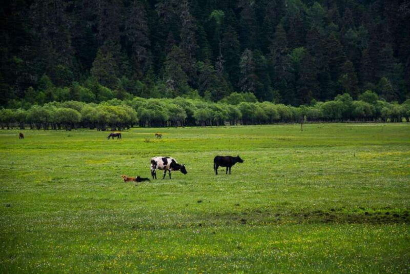 7-day-yunnan-culture-nature-tour