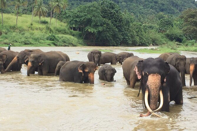 8 Days Adventure Tour with Chauffeur and Air-condition Vehicle - Authentic Insights from Reviews