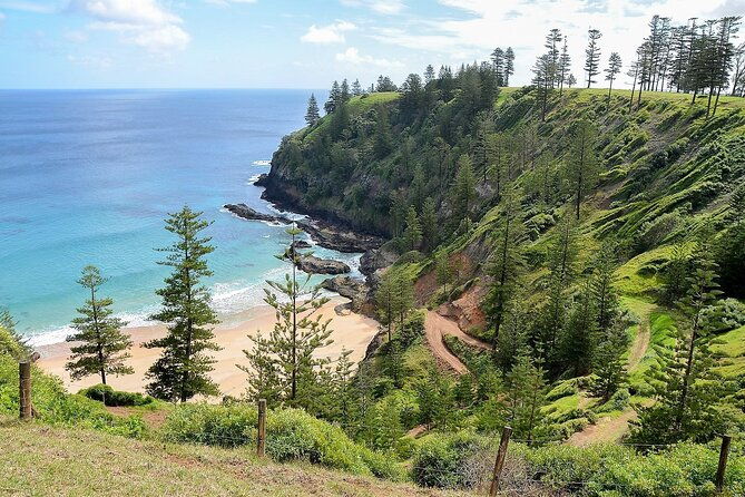8 days Drive / Stay / Tour in Norfolk Island - Who This Tour Is Best For