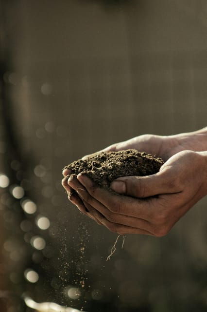 a-day-as-a-farmer-experience