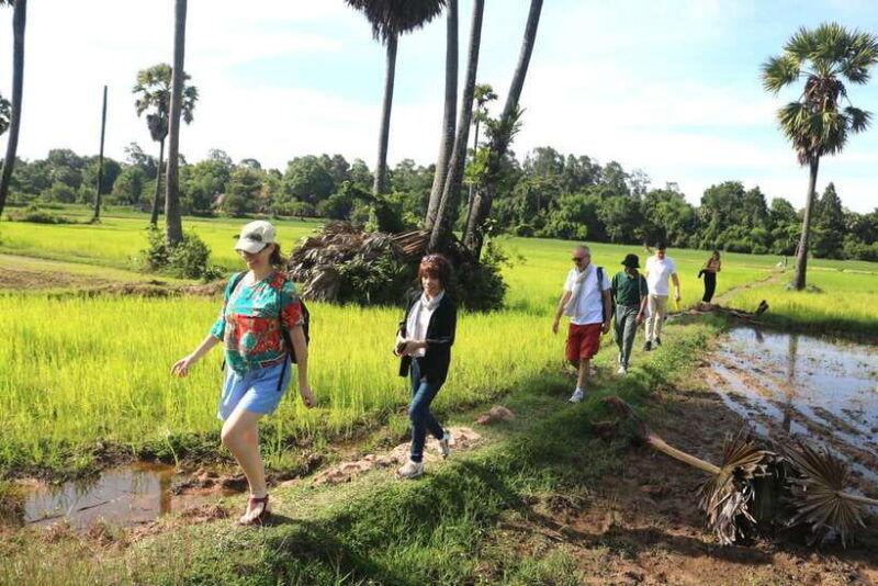 a-morning-in-the-cambodian-countryside