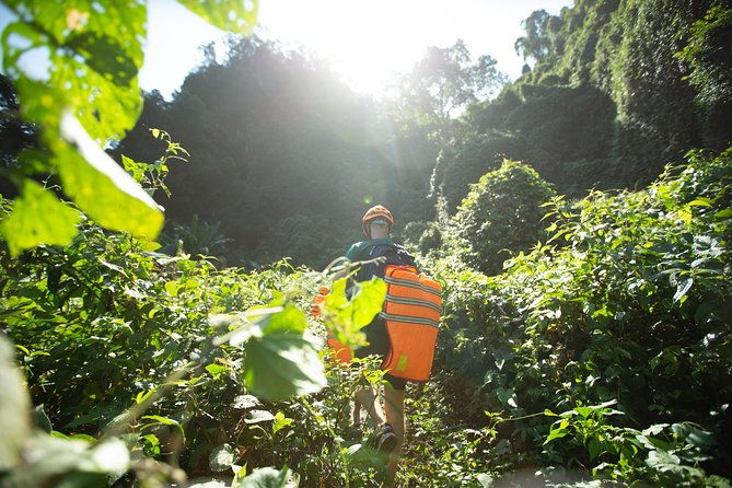 Abandoned Valley Adventure - E Cave & Golden Cave - 1D - Why This Tour Is Perfect for You