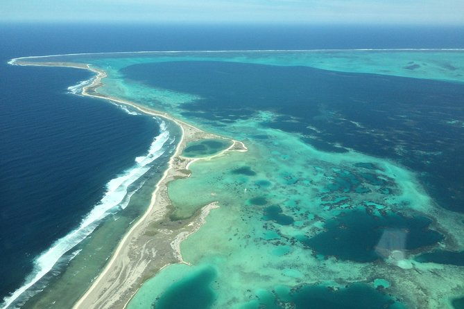 Abrolhos Islands Scenic Flight & Snorkel Adventure from Perth - Snorkeling and Wildlife Encounters