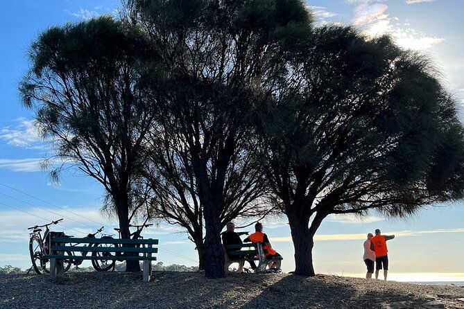 Adelaide Hills full day E-Bike Hire - Authentic Insights from Reviewers