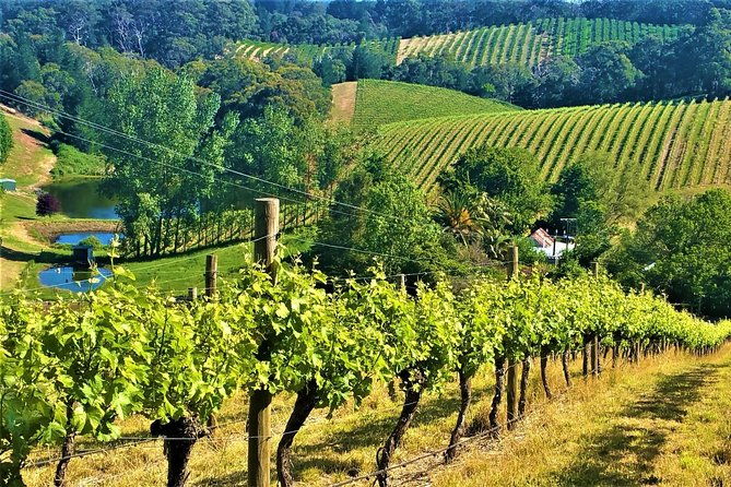 Adelaide Hills Private Day Tour - Authentic Experiences and Local Insights